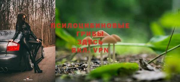 ECSTASY Вязьма