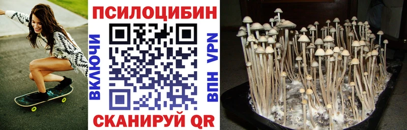 Псилоцибиновые грибы ЛСД  Купить где  Лыткарино 