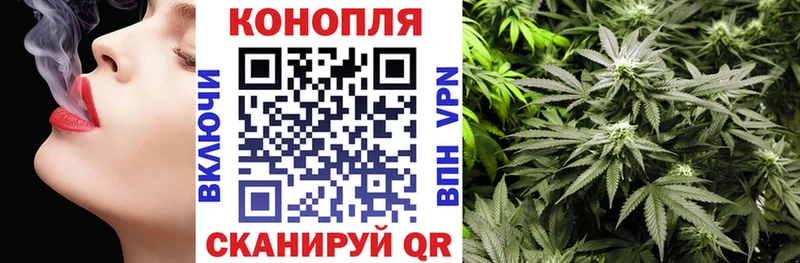 МАРИХУАНА ГИДРОПОН  Купить где  Лыткарино 